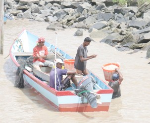 It's Shrimp season. These fishermen were delivering the catch for the day.