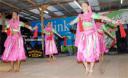 Members of the Apex Academy performing a dance at the mela