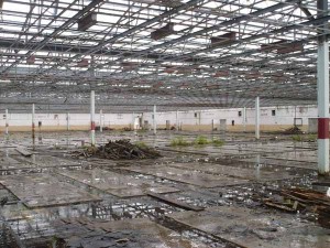 One of the larger Sanata Textile Mill buildings substantially cleared of debris and old equipment in preparation for rehabilitation. A lot more work to remove debris and asbestos is to be done before rebuilding for the new industrial ventures could begin. (Photo by Johann Earle)