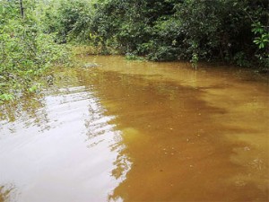 Discoloured water from the Omai Creek mingles with the water of the Essequibo River at the creek’s mouth last week. 