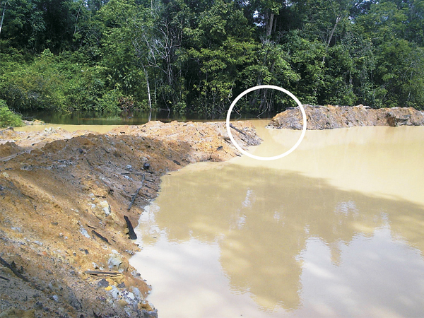 Water entering the Omai Creek (top of photo) from a breached tailings pond last month during a visit by Stabroek News. (Gaulbert Sutherland photo)