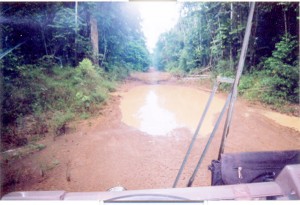 A pothole on the Linden-Lethem trail between Mabura and Kurupukari. 