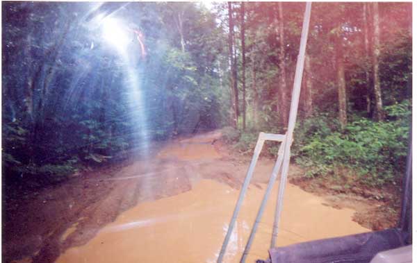 A section of the Linden-Lethem road as it was recently. 