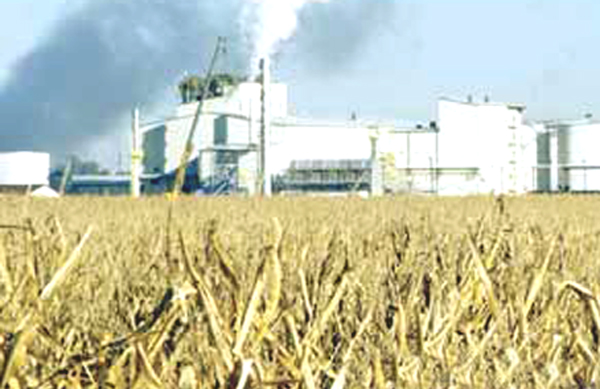 Agricultural production for biofuel.