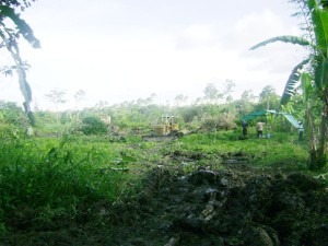 Land clearing equipment at Sara Johanna yesterday. 