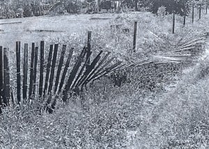 The ministry destroyed this fence; the first one Gopaul and his reputed wife had erected around the disputed plot of land. 