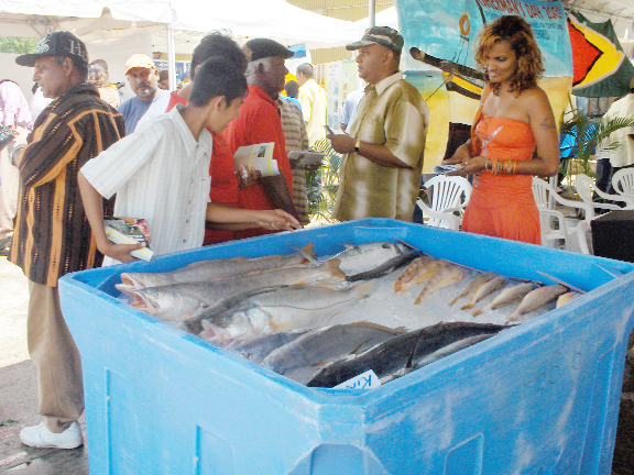 An attendee at the Fishermen’s Day 2008 event looks at the Snook on display. 