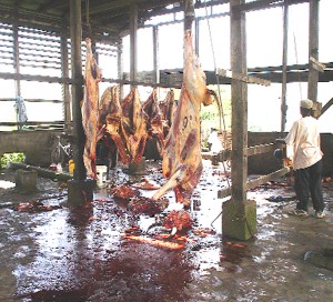 Meat hung up in the old abattoir