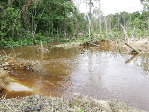 A portion of the Arau River was diverted from the original course here. 