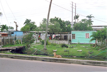 Houses on the Lamaha Street section of the Railway Embankment