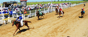 Jockey Colin Ross guides his charge Coconut Boy (#6) across the finish line in the third race of the Clico Day of Races at the Kennard Memorial Turf Club on Sunday. Star Streak (2nd left) and Pleasure Star (right) finished second and third respectively. At centre is Prince Warrior who finished fourth. (A Lawrence Fanfair photograph)