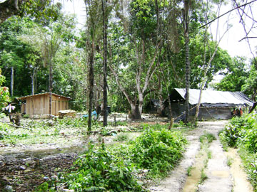 A section of Mango Landing. The little wooden structure to the left is not a latrine. 