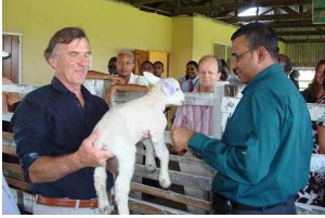 Tim Healy Chairman of the British Texel Sheep Society (left) and Minister of Agriculture Robert Persaud (right) inspect one of the lambs. Looking on at centre is British High Commissioner Fraser Wheeler. (Photo courtesy of NARI)