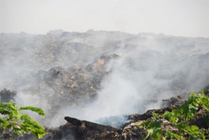 Part of the Mandela landfill ablaze yesterday