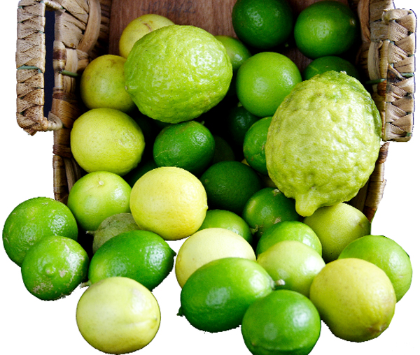 Limes & Lemons (Photo by Cynthia Nelson) 