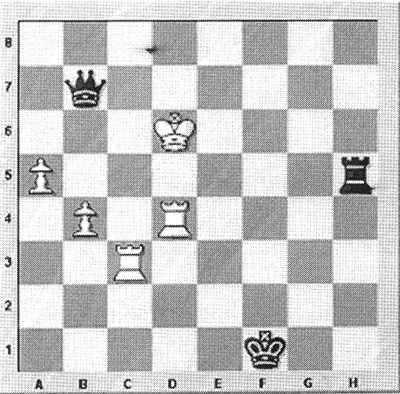 The Kasparov vs Karpov saga - Stabroek News