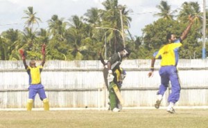 Out! Man of the Match Corey Collymore celebrates after trapping Windward Opener Miles Bascombe lbw as ‘keeper Patrick Browne joins in the celebrations. (Aubrey Crawford photo)   