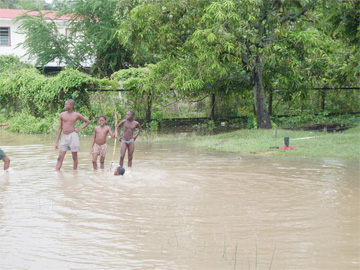 These young boys were swimming in the unsafe floodwaters at Brushe Dam, Friendship yesterday. (Photo by Sara Bharrat)