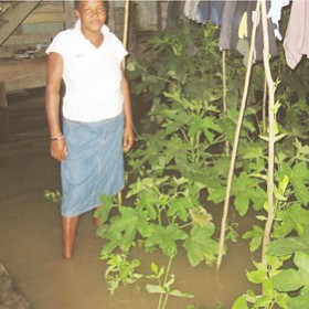 Voldeen Edwards lost her crop to the flood 