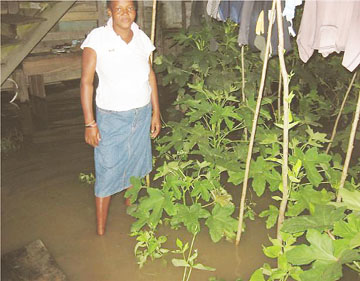 Voldeen Edwards lost her crop to the flood 