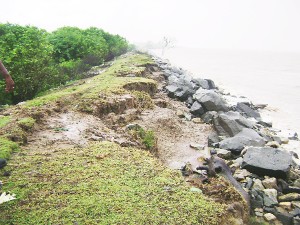The section of the sea wall at Lima, Essequibo which is being eroded.  