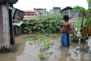 Doodnauth Persaud stands in his submerged garden at Lusignan, East Coast Demerara, yesterday, viewing the remains of what should have been the rewards of his labour. (Photo by Jules Gibson) 