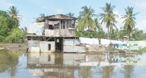 The flooded yard and house of Narinedai Narine 