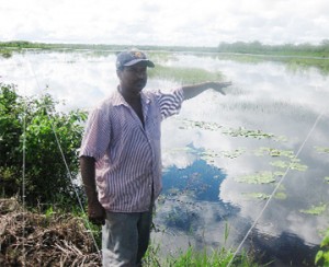 Haimchand Mahadeo points to the island that his watermelon farm has become; a few of the fruits were seen floating in the water.