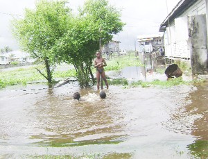 These boys at Victoria were swimming in the floodwaters yesterday.  