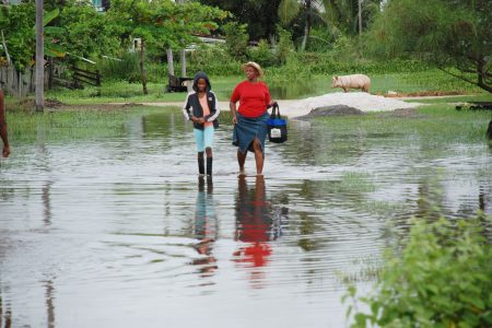 These ladies were making their way through the floodwaters at Golden Grove yesterday. 