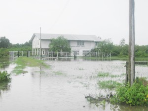 The Mortice Primary School surrounded by water   