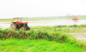  A tractor and combine stand abandoned in the fields, 