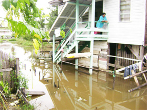 Halima Sadick stares at the inches of water which has once again accumulated in her Dochfour yard.  