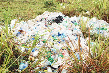 The pile of garbage - mostly plastic bags, bottles and styrofoam food boxes. 