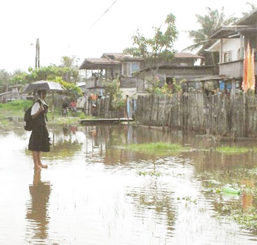 Where to go? This school girl stood on a high spot in a flooded Beehive street yesterday contemplating where to walk next. 