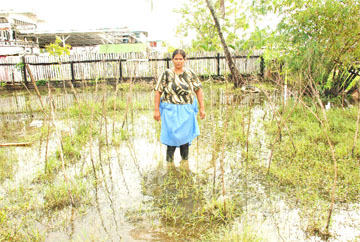 Marriam Khan of Greenfield stands amid bramble which once supported bora vines. Her garden is her only means of support.  