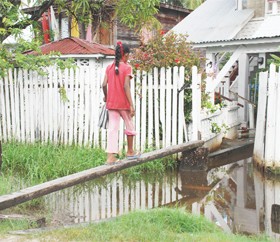 Walking the plank: Fluctuating floodwater at Greenfield is forcing many to walk over narrow elevated planks.
