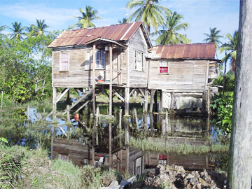 The yard of a house at Supply, Mahaica remained under water yesterday.