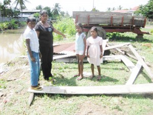 Barbara Persaud with her three children Suraj, 9, Shivanie, 8 and five-year-old Somalie in front of the broken down stall.  