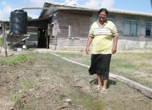 Chitrawattie Ramcharitar can finally stand in her yard which was completely flooded. 