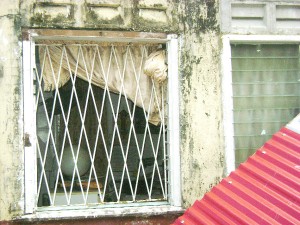 The grilled window from which the frame was removed by the bandits to gain entry into the office.   