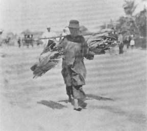 Chinese labourer, circa 1890