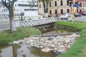 Unaesthetic: A mess of plastic bottles and Styrofoam boxes floating atop the Avenue of the Republic canal yesterday. (Photo by Jules Gibson)