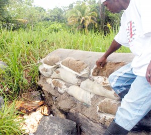 A resident of La Bagatelle, Leguan points to a sand bag on the sea dam which has been  damaged as a result of high tides. He said water flows freely over the section of the dam seen at the left of the photograph. 