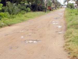 Potholes on the Blenheim Public road at Leguan.