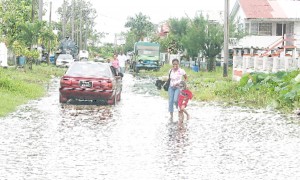 A woman and her son wade through water in Fern Drive, South Ruimveldt opposite the Festival City Entrance.  