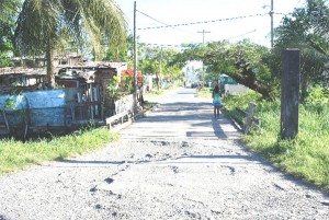 This bridge and a section of the access road to the rear entrance of the East Ruimveldt market are in a state of disrepair. Vendors are particularly concerned that the rickety bridge poses a hazard to motorists. 