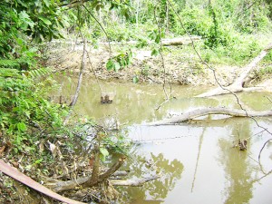 A portion of the Arau River which had been blocked (SN file photo)  