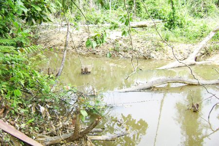 A portion of the Arau River which had been blocked (SN file photo)  