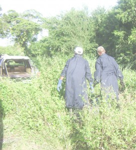 Lyken’s Funeral Parlour porters preparing to remove Deonarine Ishmael’s body from the vegetated area at the northern end of  Le Repentir Cemetery where it was discovered yesterday. 
